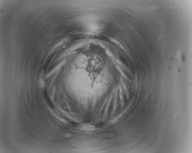 X0000085320719200703231949