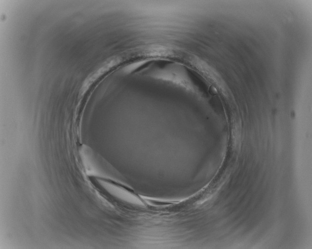 X0000085320721200703231948