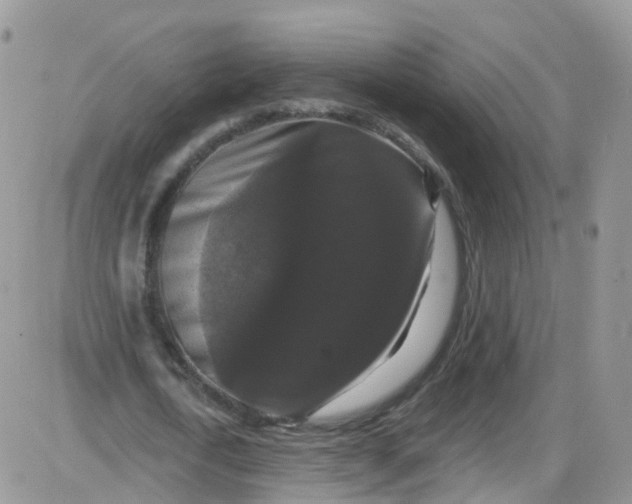 X0000085320722200703231948