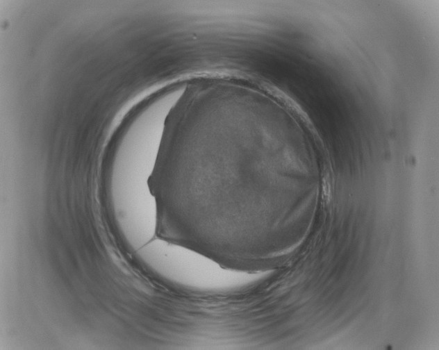 X0000085320724200703231948