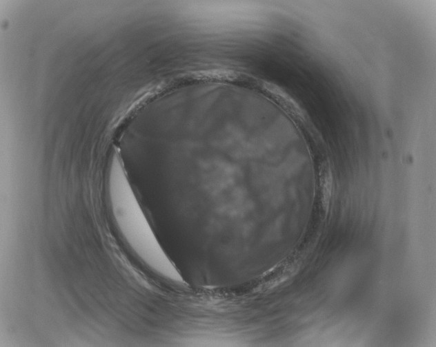 X0000085320729200703231949