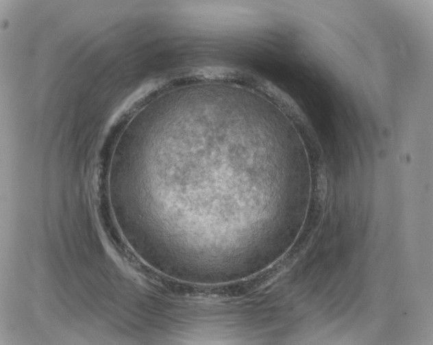 X0000085320730200703231949