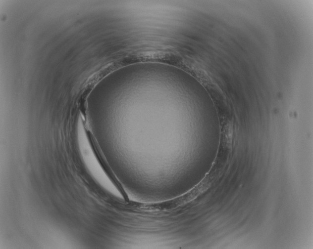 X0000085320746200703231949