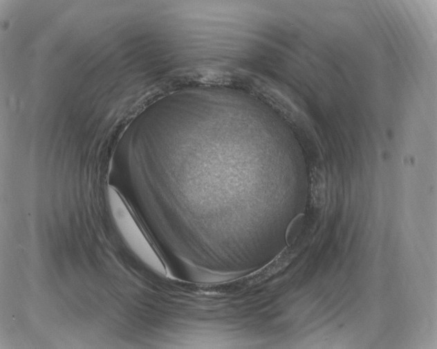 X0000085320748200703231949