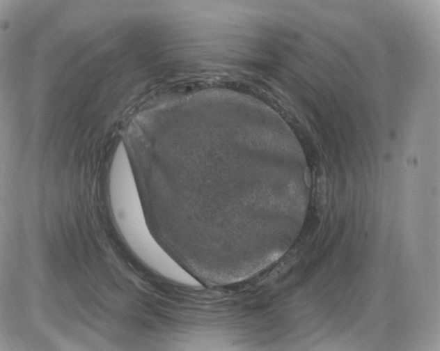 X0000085320750200703231949