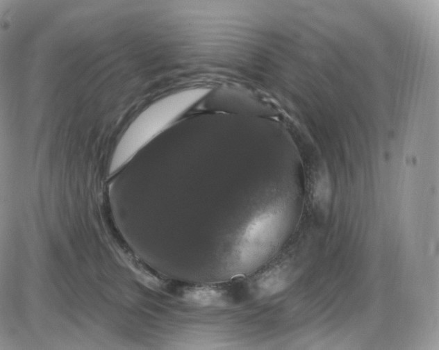 X0000085320759200703231949