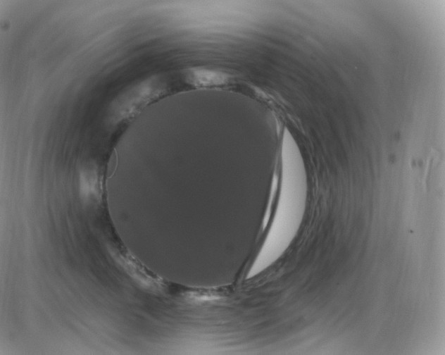 X0000085320763200703231949