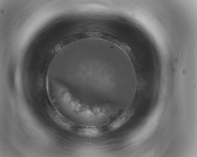 X0000085320765200703231949