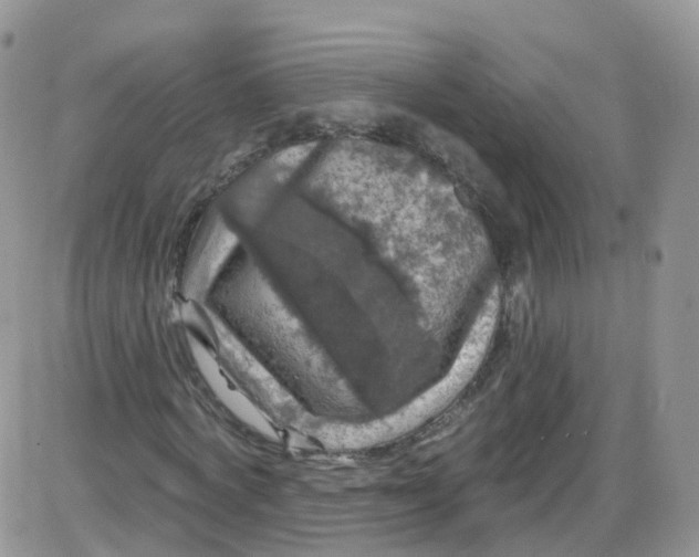 X0000085320772200703231948