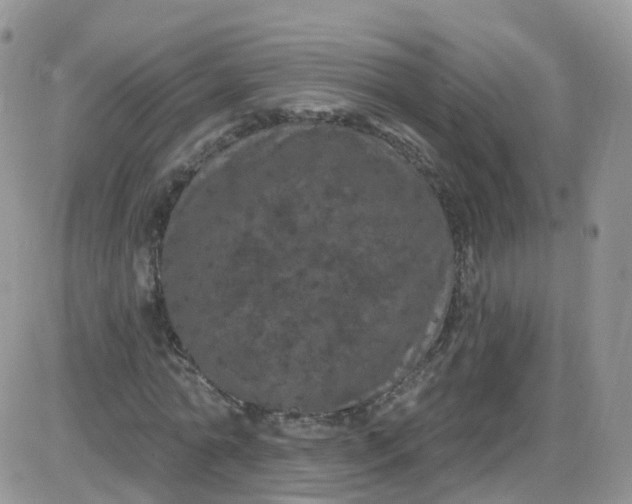 X0000085320774200703231948