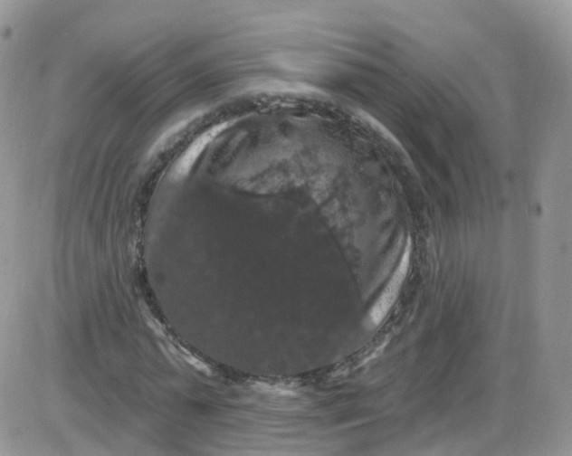 X0000085320775200703231948