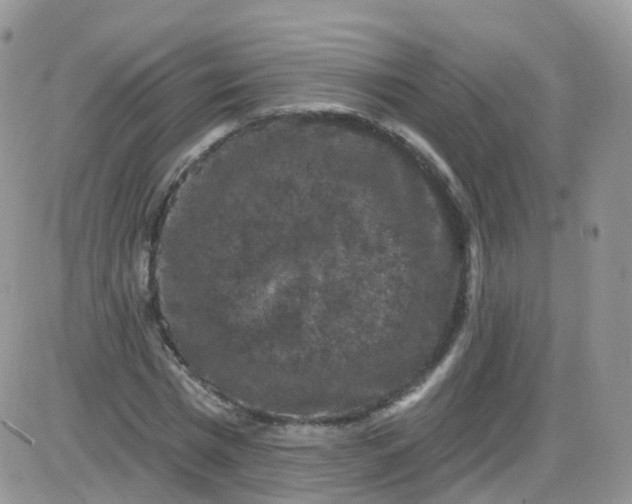 X0000085320777200703231948