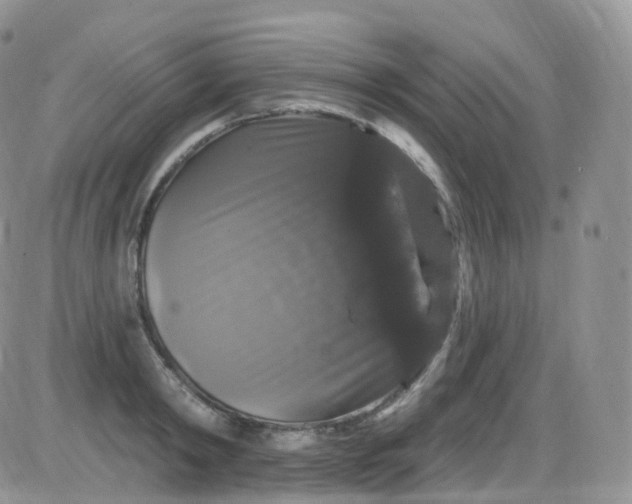 X0000085320798200703231948