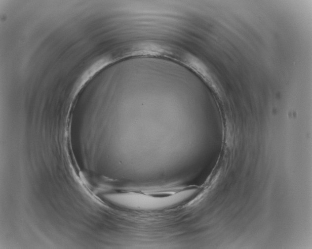 X0000085320802200703231948