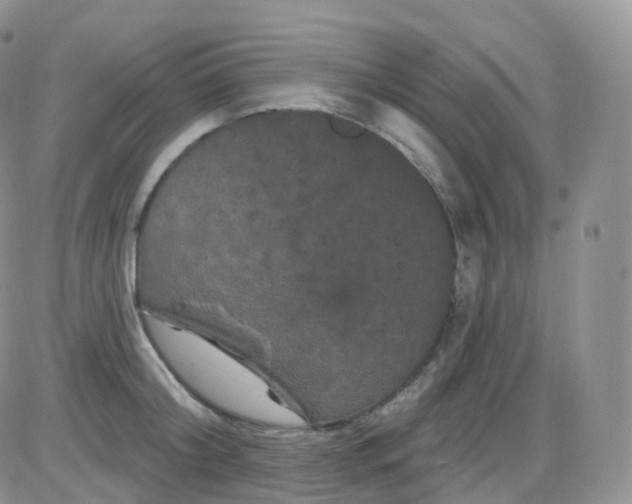 X0000085320804200703231948