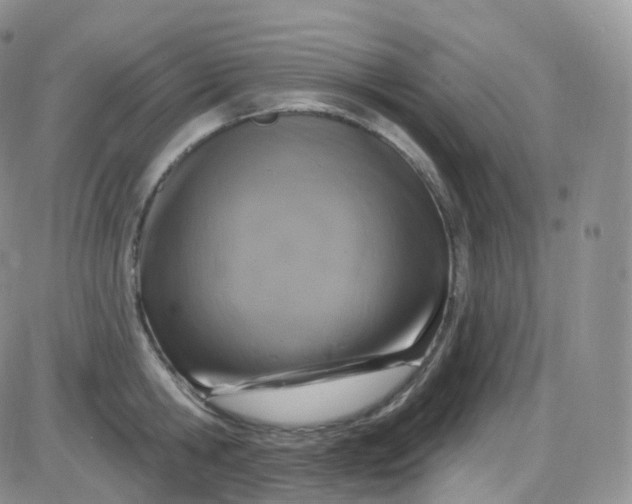 X0000085320806200703231948