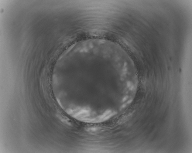 X0000085320817200703231947