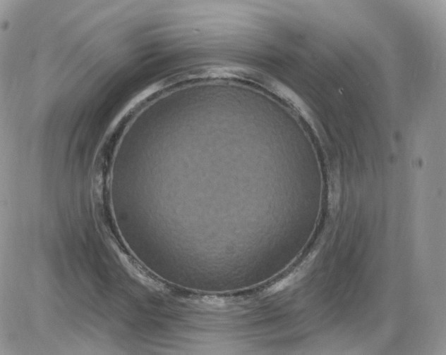 X0000085320827200703231947