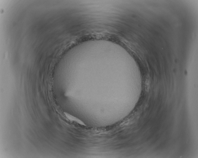 X0000085320865200703231947