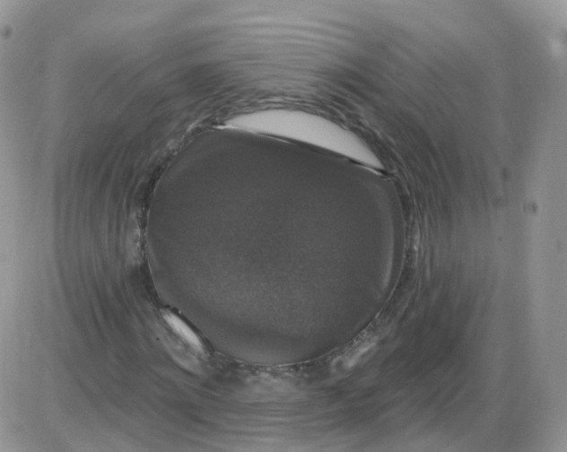 X0000085320868200703231947