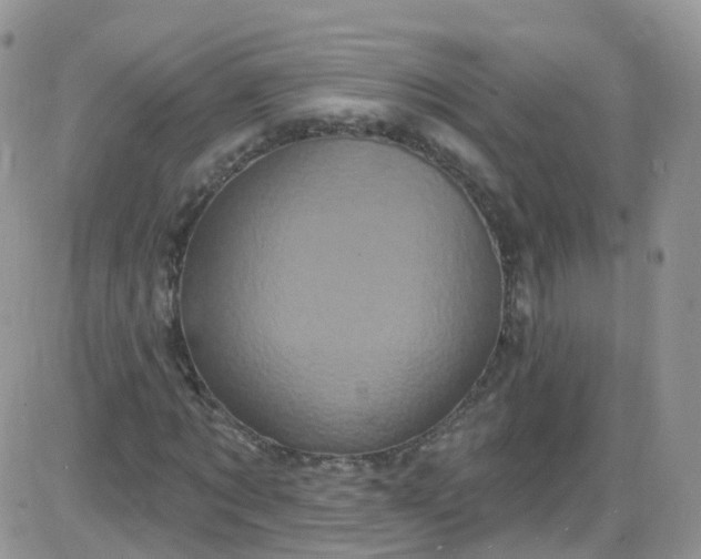 X0000085320869200703231947