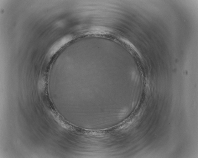 X0000085320874200703231947