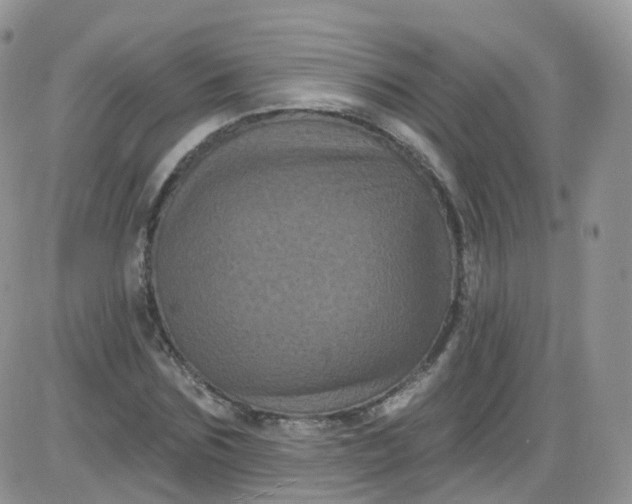 X0000085320875200703231947