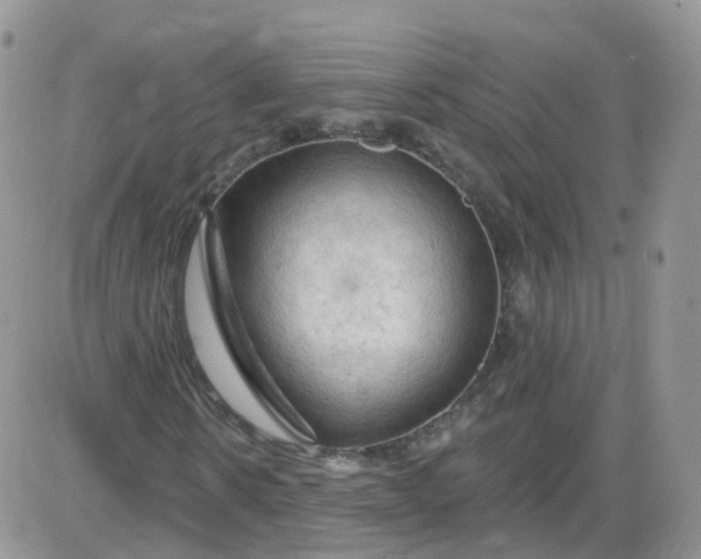 X0000085320914200703231945