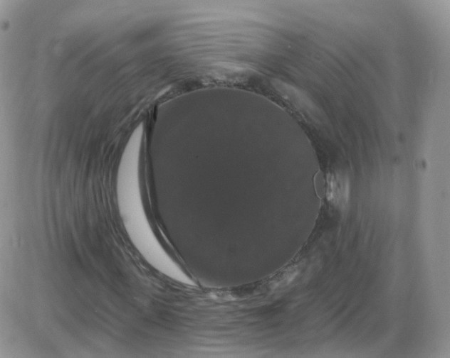 X0000085320915200703231945