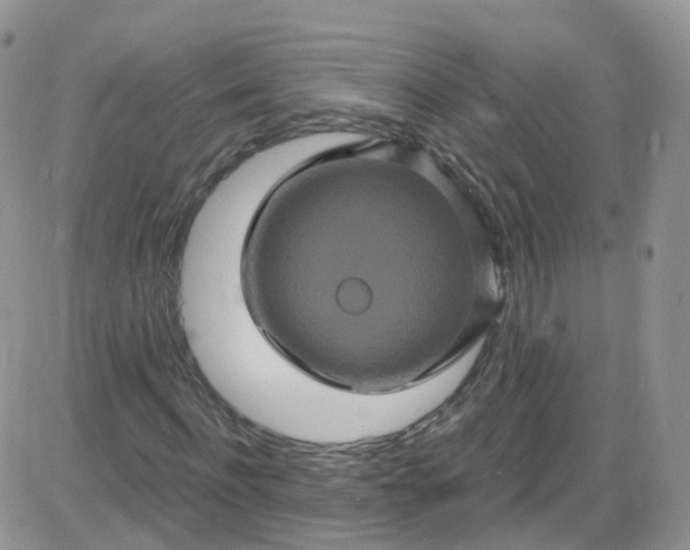 X0000085320916200703231945