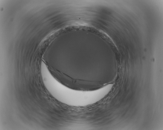 X0000085320919200703231945