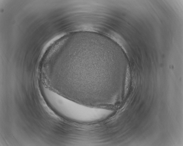 X0000085320987200703231945