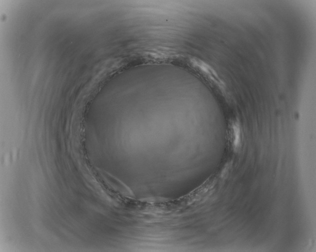 X0000085321009200703231944