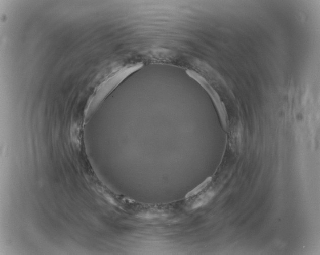 X0000085321010200703231944