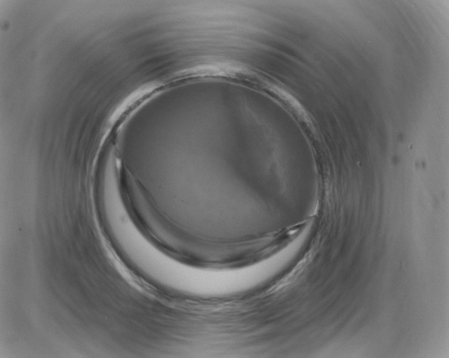 X0000085321034200703231944