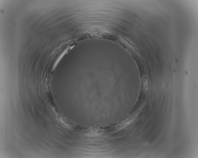 X0000085321060200703231944