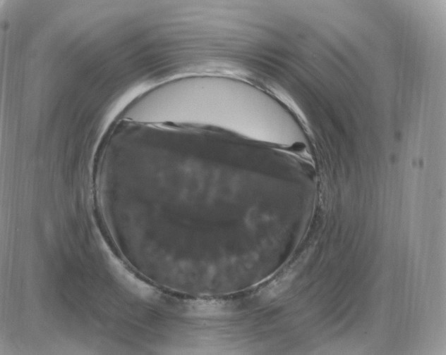 X0000085321087200703231943