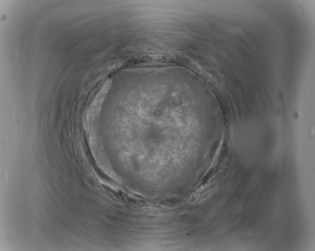 X0000085321105200703231942