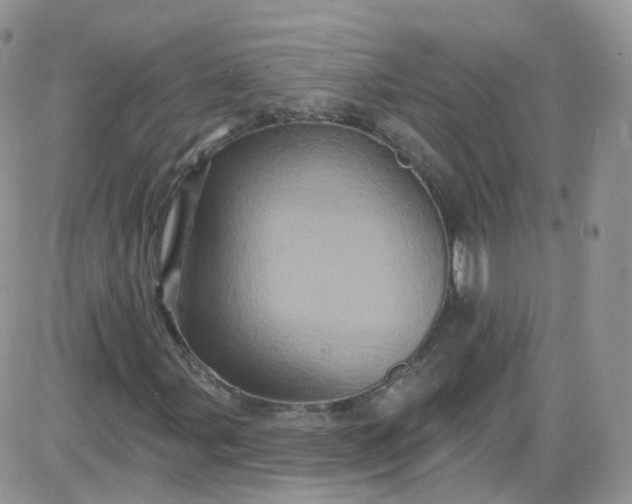 X0000085321107200703231942