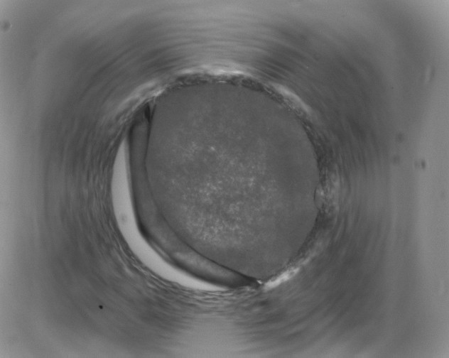 X0000085321110200703231942