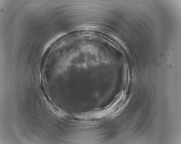 X0000085321117200703231942