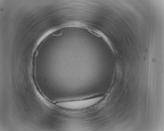 X0000085321147200703231943