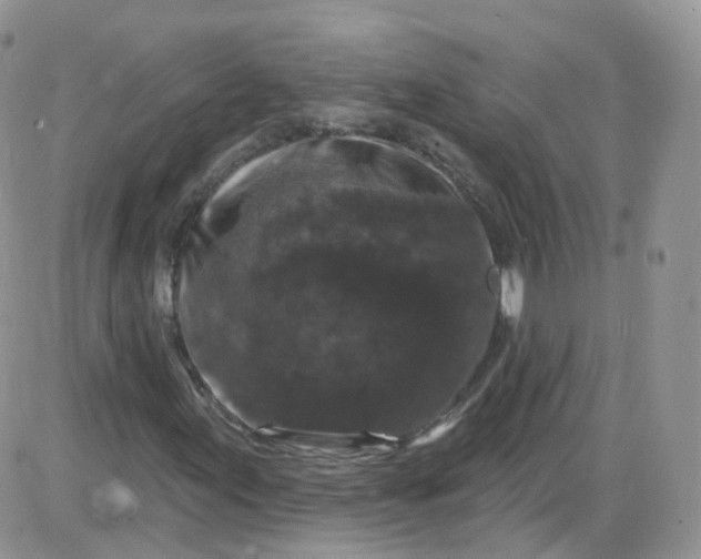X0000085321155200703231942