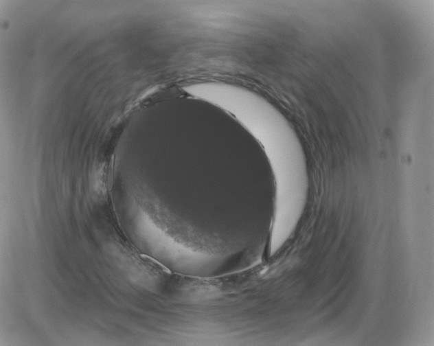 X0000085321156200703231942