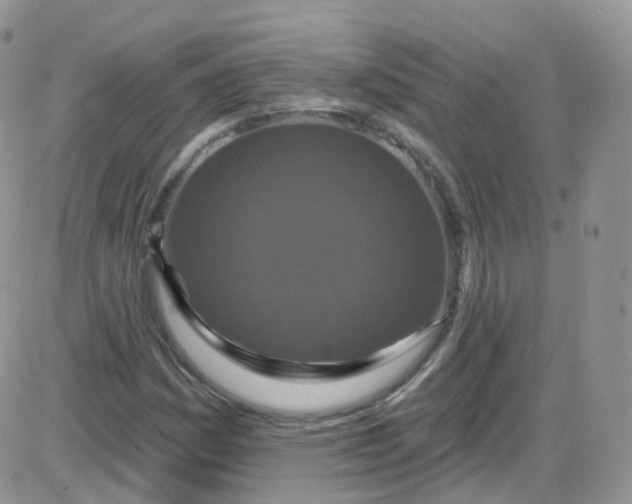 X0000085321161200703231942