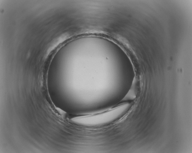X0000085321165200703231942