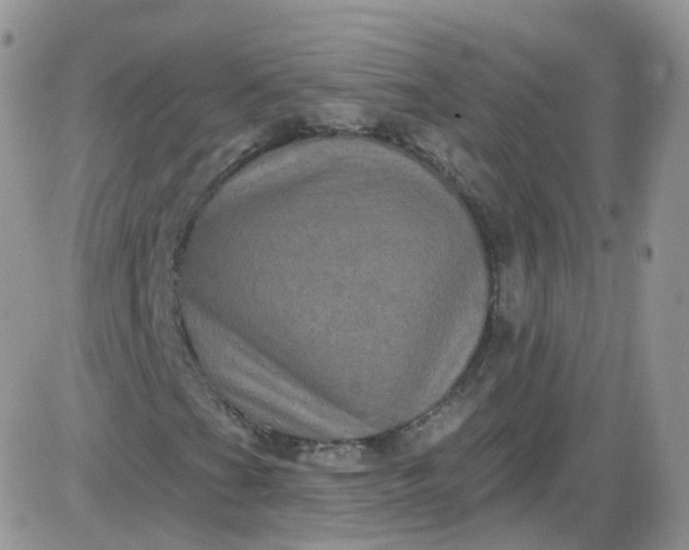 X0000085321201200703231940