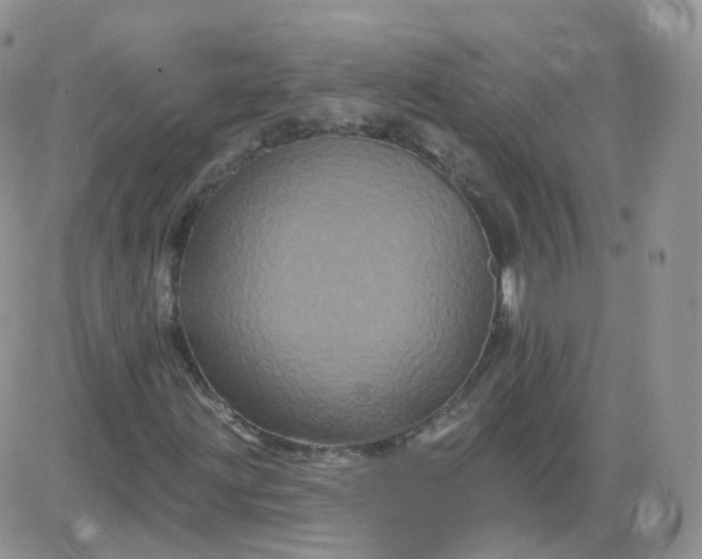 X0000085321203200703231940
