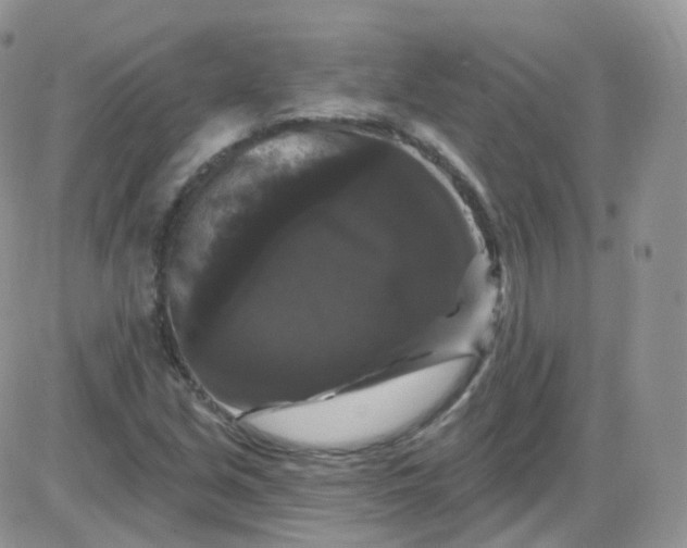 X0000085321213200703231941
