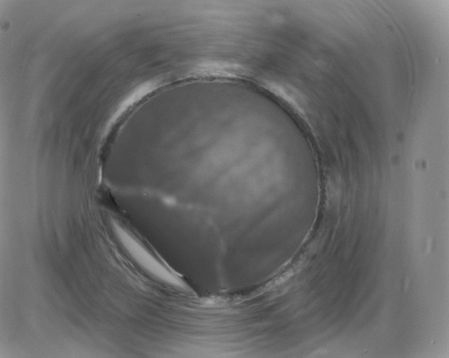 X0000085321219200703231941